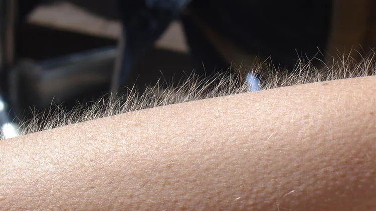 Les 6 libertés intérieures : la vraie clé de l'alignement Avoir la chair de poule