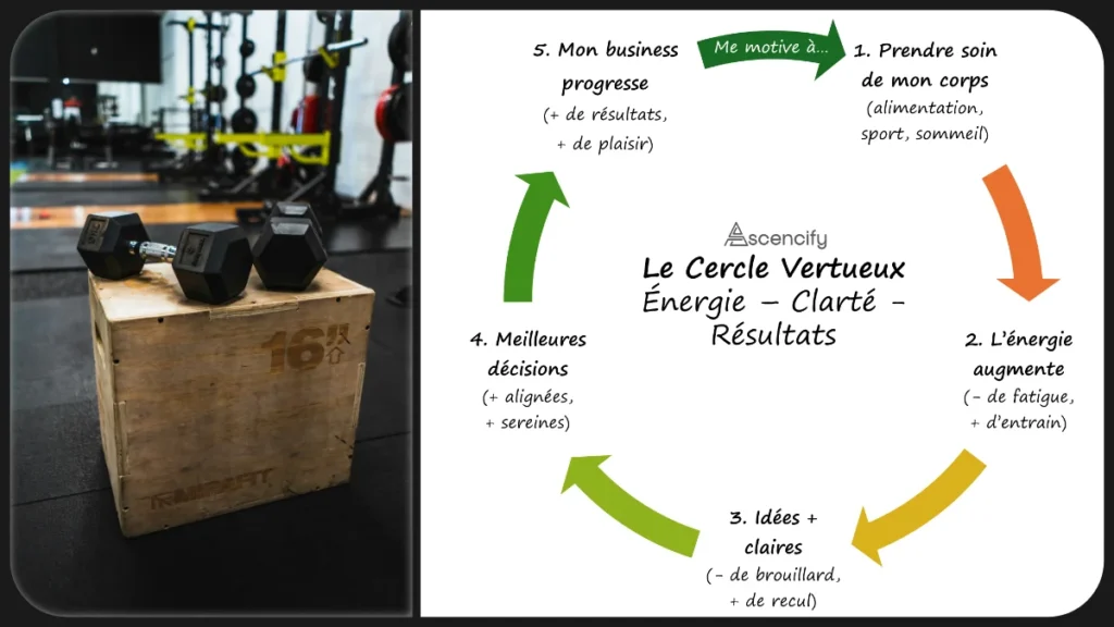 Sport et business : entrepreneurs, musclez votre discipline ! Cercle Vertueux Énergie - Clarté - Résultats